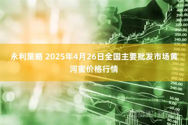 永利策略 2025年4月26日全国主要批发市场黄河蜜价格行情