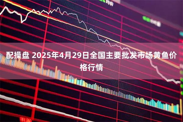 配操盘 2025年4月29日全国主要批发市场黄鱼价格行情