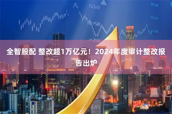 全智股配 整改超1万亿元！2024年度审计整改报告出炉